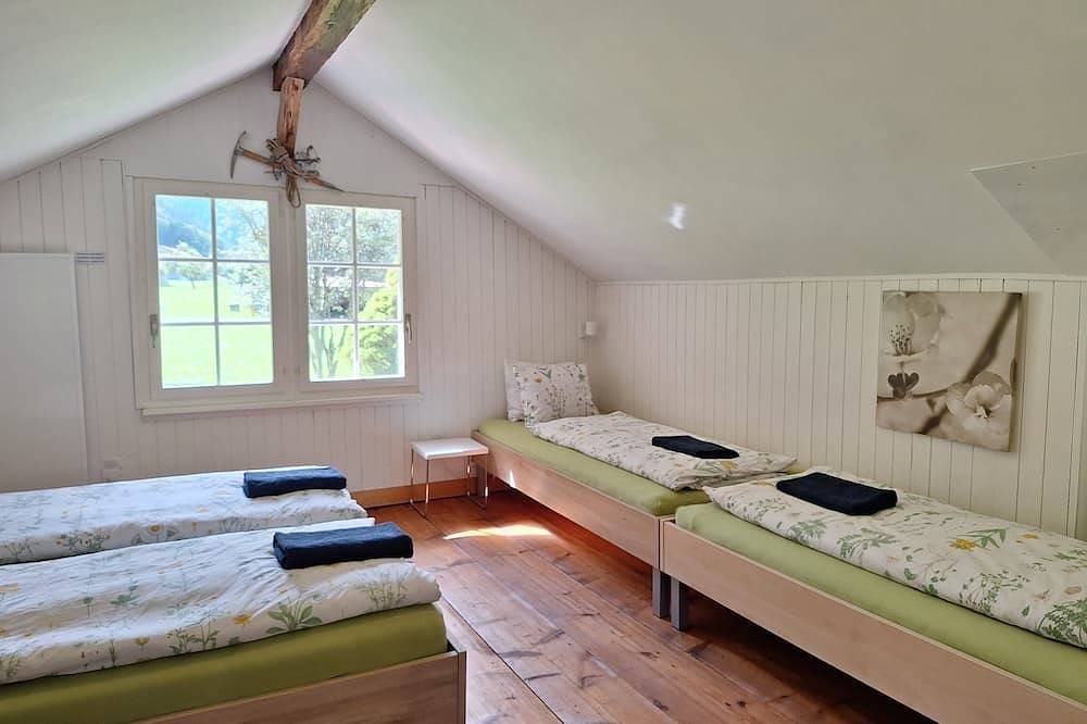 Einfamilienchalet.  Traumhafte Aussichten.  Umzäunten Garten, sicher für Kinder mit Bbq in Lauterbrunnen, Grindelwald und Umgebung