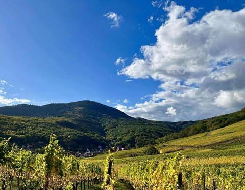 Gîte pour 2 personnes, animaux acceptés à Reichsfeld