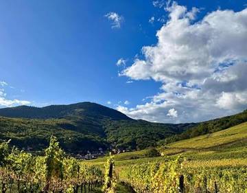 Gîte pour 2 personnes, animaux acceptés à Reichsfeld