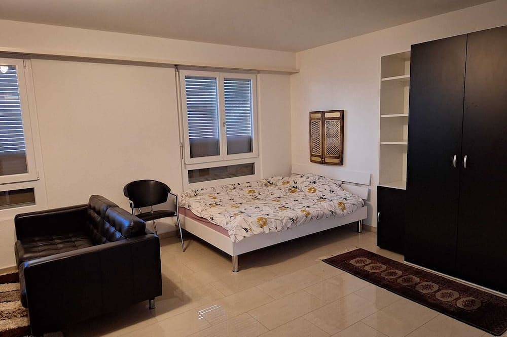 Appartamento intero, Large 1-room apartment-Mark in Basilea, Aargau-Basel