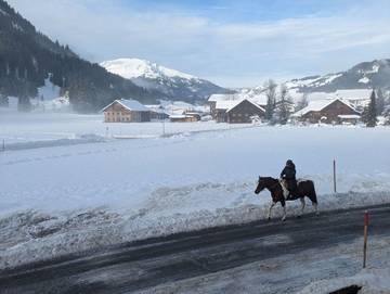 Ferienwohnung für 6 Personen, mit Garten und Ausblick, kinderfreundlich in Tannheim (Tirol)