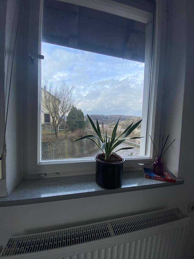 Ferienwohnung für 2 Personen, mit Ausblick in Blaustein - 4
