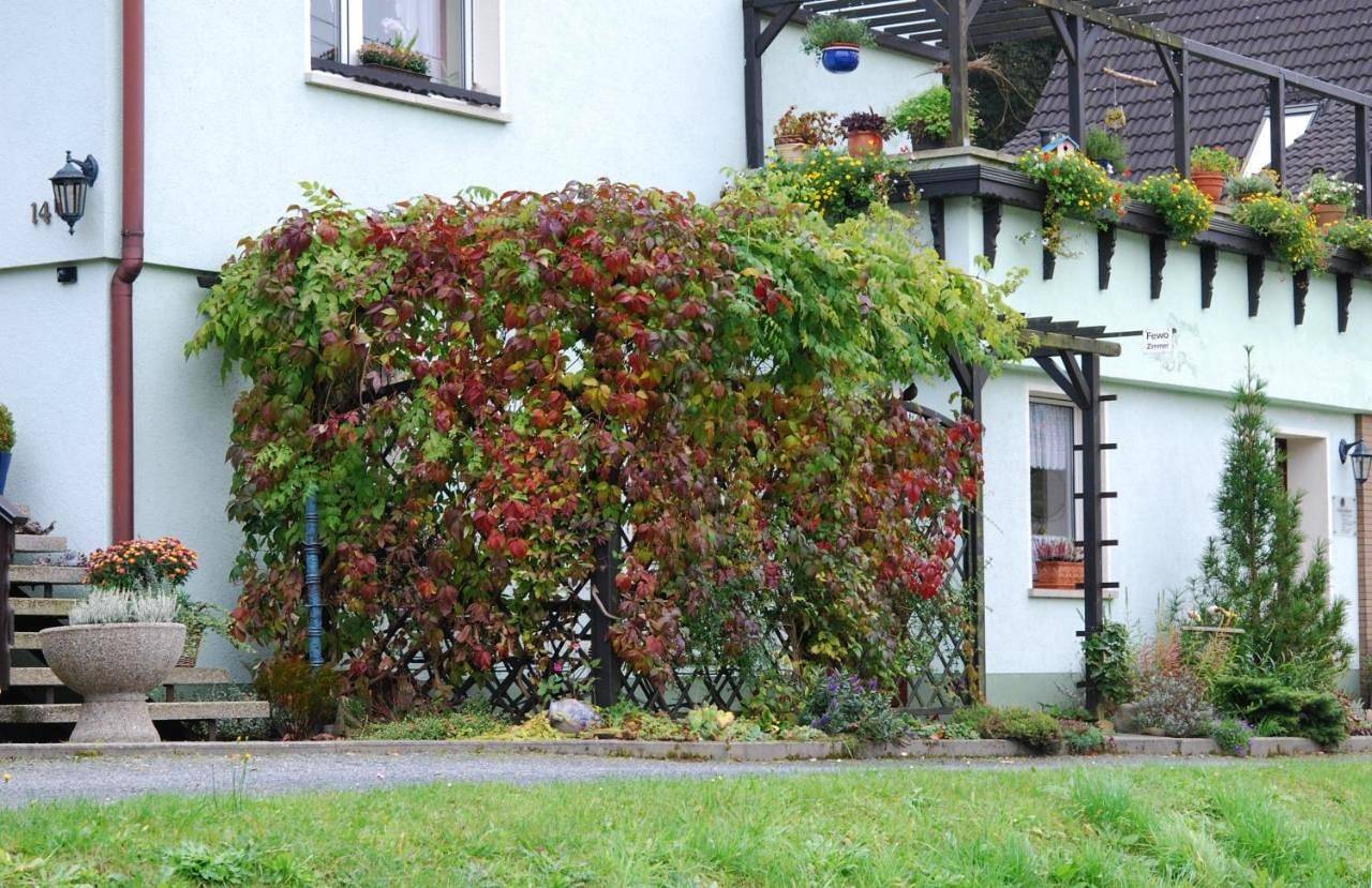 Ganze Wohnung, Ferienwohnung Henker in Krippen, Bad Schandau