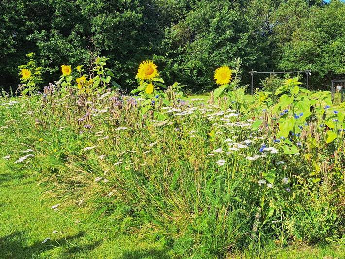 Ferienhaus für 6 Personen, mit Terrasse und Sauna, kinderfreundlich in Skaven Strand - 2