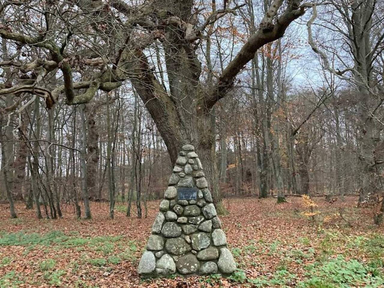 4 Personen Ferienhaus in Faxe Ladeplads-By Traum in Faxe Ladeplads, Schwedische Ostsee