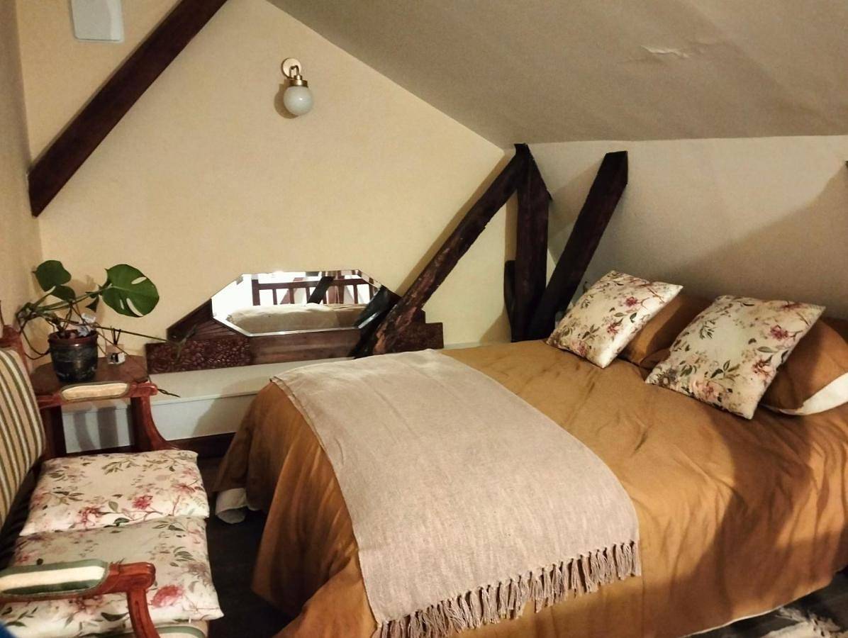Appartement entier, Le logis Bodard Appartement centre ville dans un hôtel particulier Xiveme avec parking et locale vélo in Chinon, Vallée de la Loire