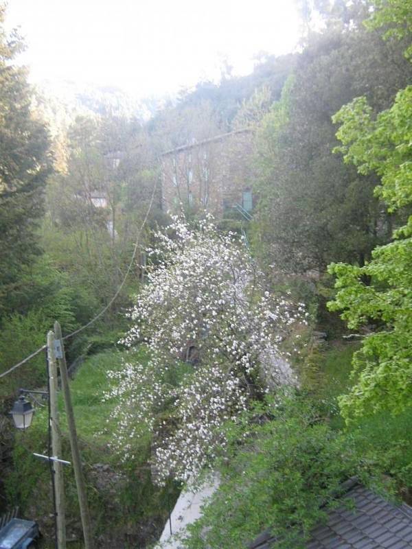 Les Ecoles - Chambre 1 in Saint-André-de-Valborgne, Cevenas
