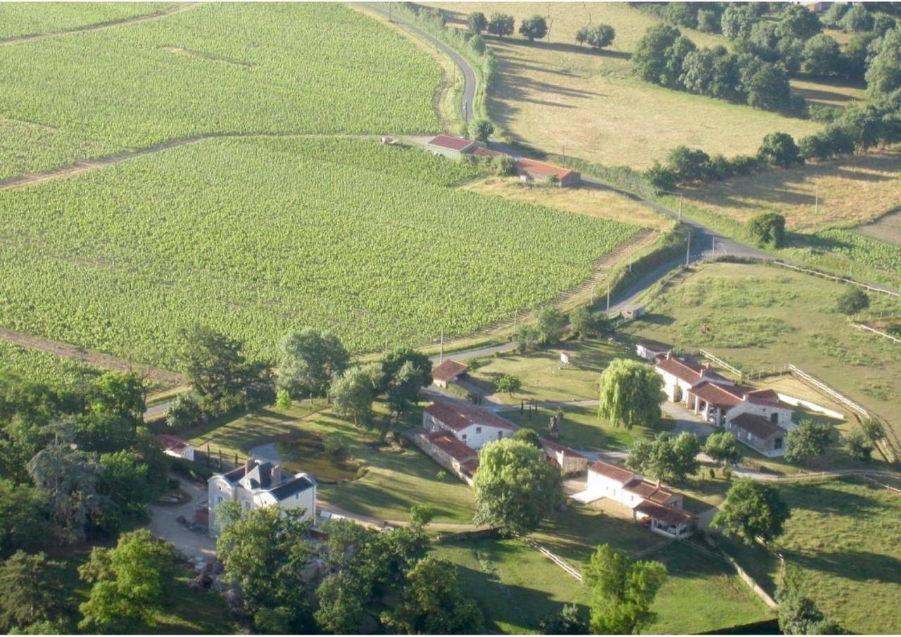 Domaine du Chêne Crucy in Liré, Région de Cholet