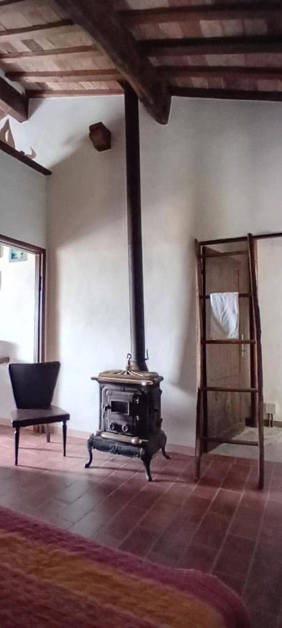 Gîte pour 6 personnes, avec vue et jardin à Campiglia d'Orcia - 3