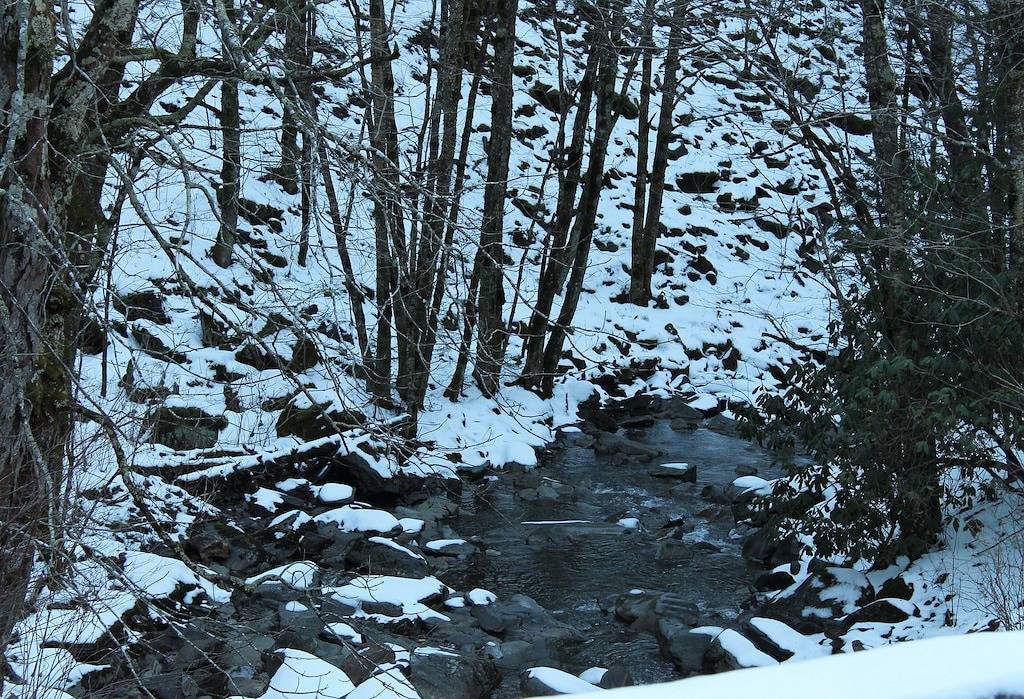 Ganze Wohnung, Blick auf die Berge auf dem Parkway in der Innenstadt von Pigeon Forge! Familienurlaub! in Pigeon Forge, Sevier County