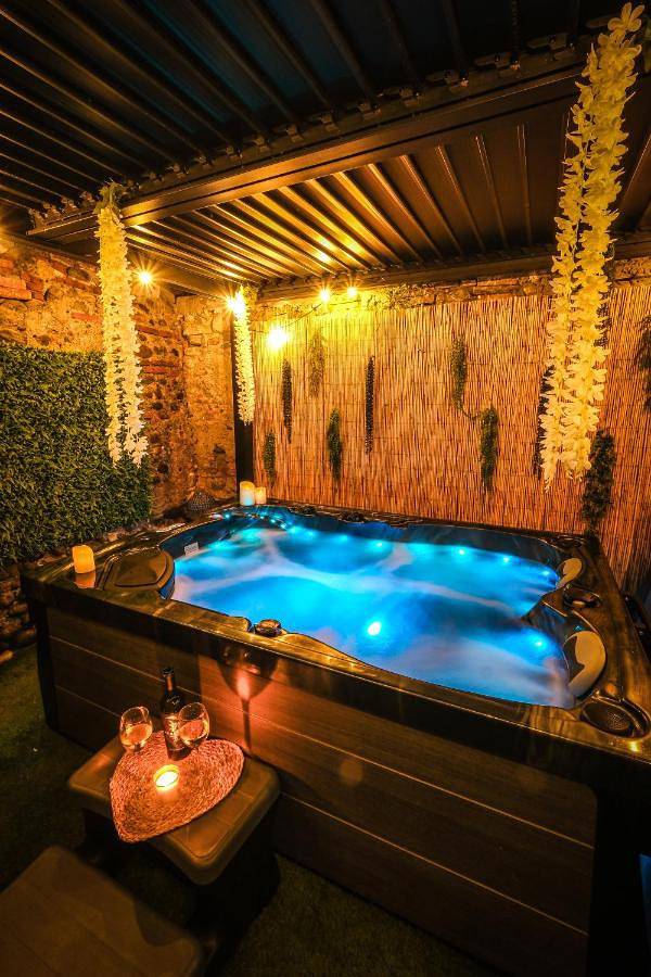 Location de vacances pour 4 personnes, avec jacuzzi ainsi que terrasse et jardin à Pamiers - 2