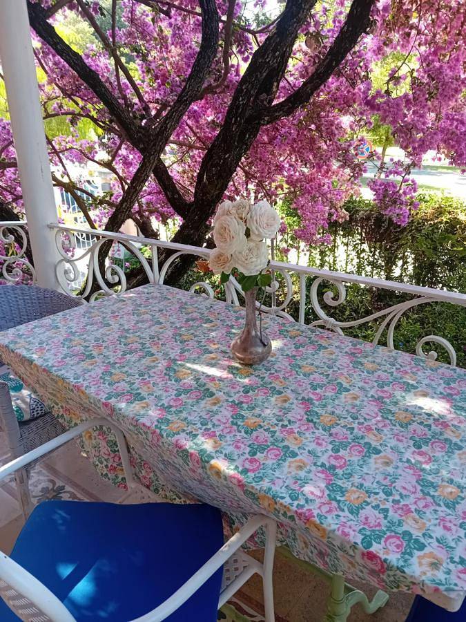 Chambre d’hôte pour 2 personnes, avec vue et jardin à Sestri Levante - 3