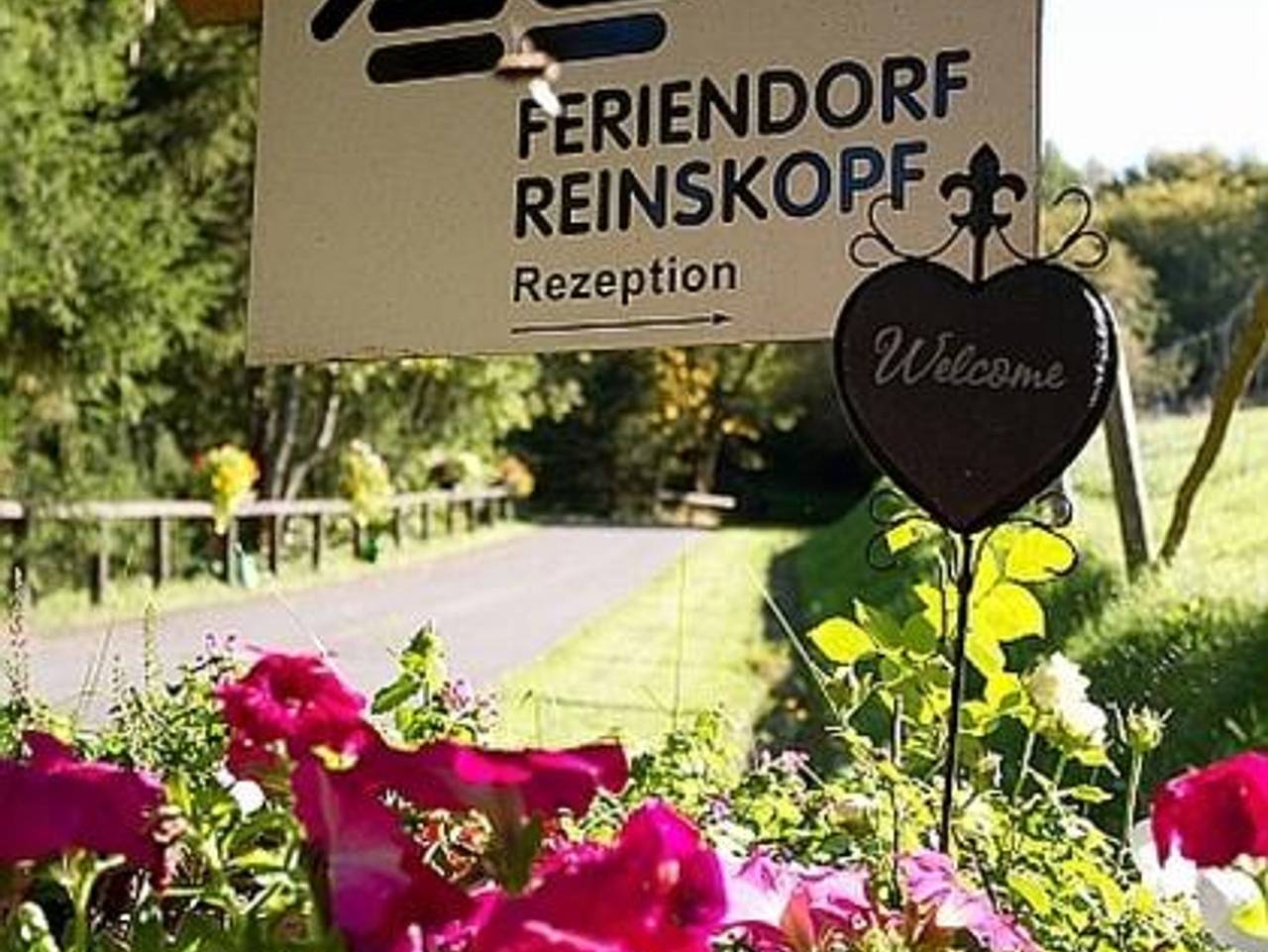 Ganze Ferienwohnung, Feriendorf Reinskopf - 2-Bettwohnung (Appartement Typ A) in Schönecken, Eifelkreis Bitburg-Prüm