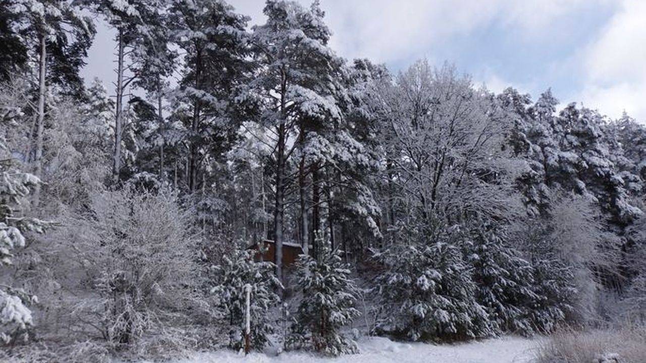 Ganze Ferienwohnung, Ferienwohnung für 4 Personen (40 m²) in Lychen in Himmelpfort, Uckermark