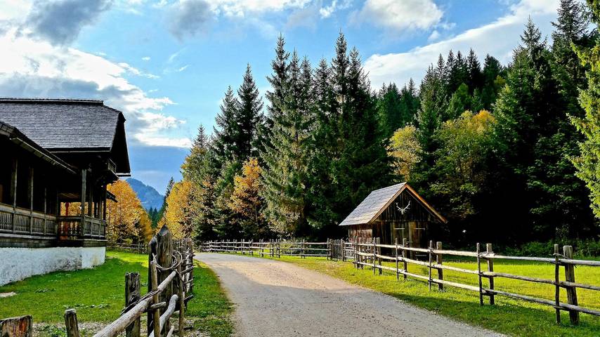 Fehs Sonnenalm 177 in Sonnenalm, Bad Mitterndorf