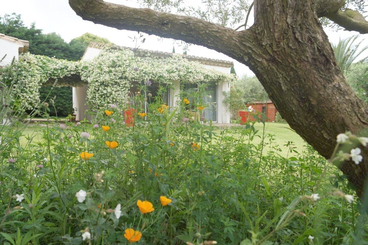 Studio au coeur de la petite camargue in Beauvoisin, Côte méditerranéenne (France)