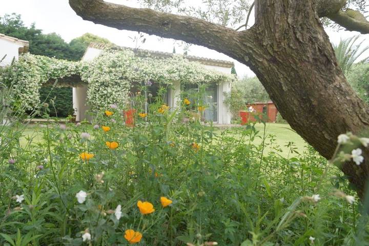 Chambre d’hôte pour 3 personnes, avec Terrasse et Jardin ainsi que Piscine et Vue