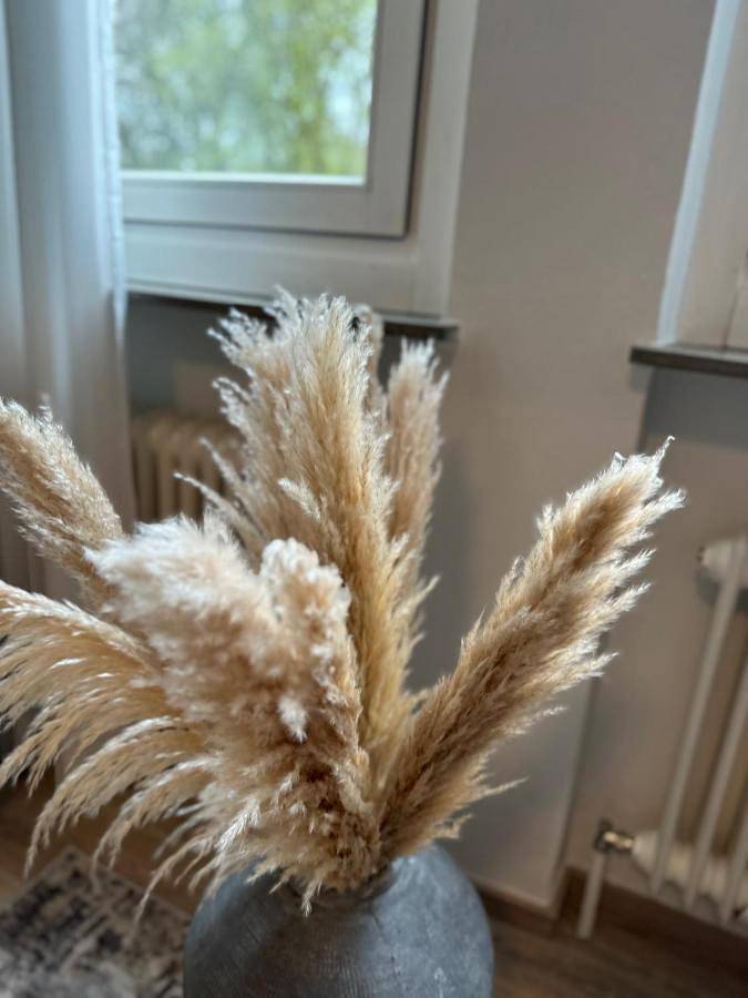 Ferienwohnung für 4 Personen, mit Garten und Ausblick in Bayreuth - 3