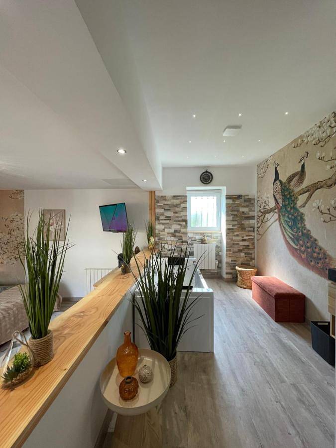Double Room with Spa Bath in Saint-Savinien, Région de Saint-Jean-d'Angély