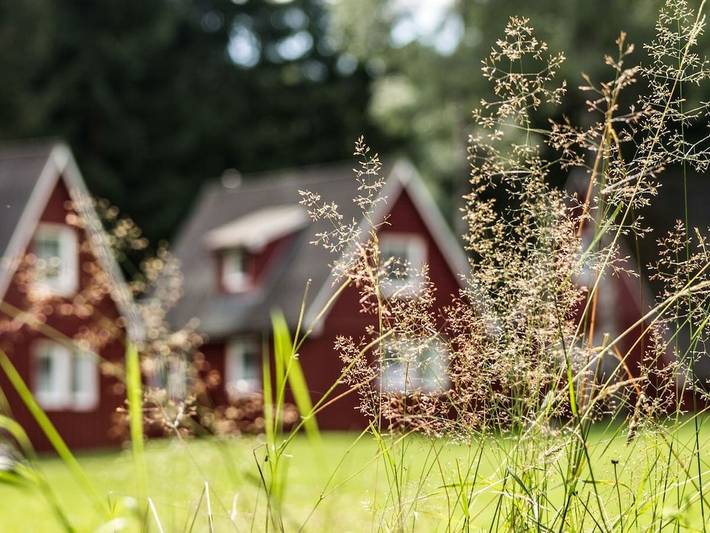 Ferienhaus für 6 Personen, mit Terrasse in Breitenbrunn / Erzgebirge