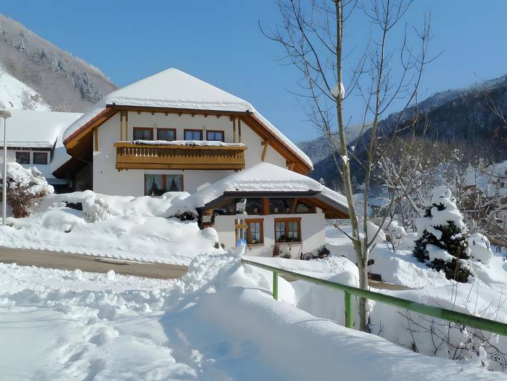 Ferienwohnung für 4 Personen, mit Balkon in Todtnau - 4