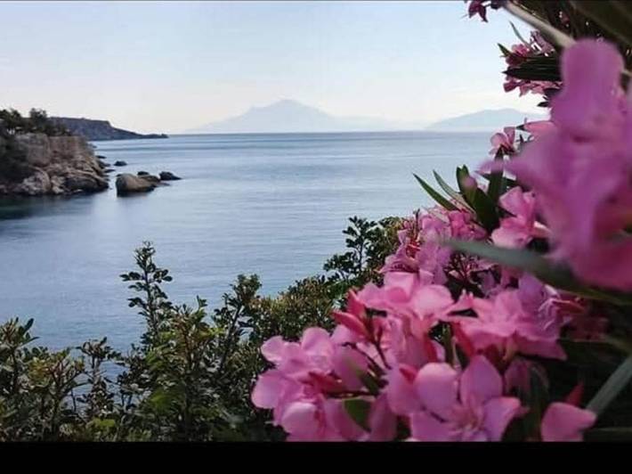 Apartmenthotel für 2 Personen, mit Balkon und Ausblick - 1