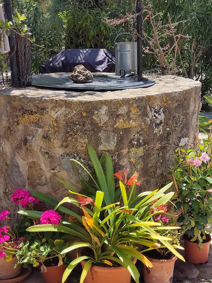 Villa für 6 Personen, mit Whirlpool und Garten sowie Terrasse in Artà - 4