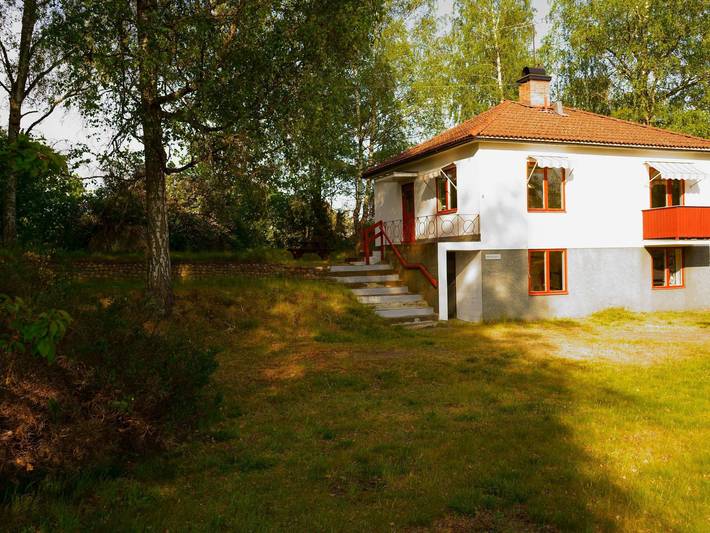 Björk in Högsby