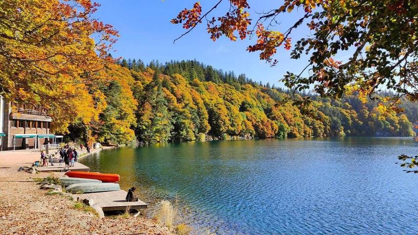 Location de vacances pour 2 personnes, avec vue ainsi que jardin et piscine à Veyre-Monton - 2