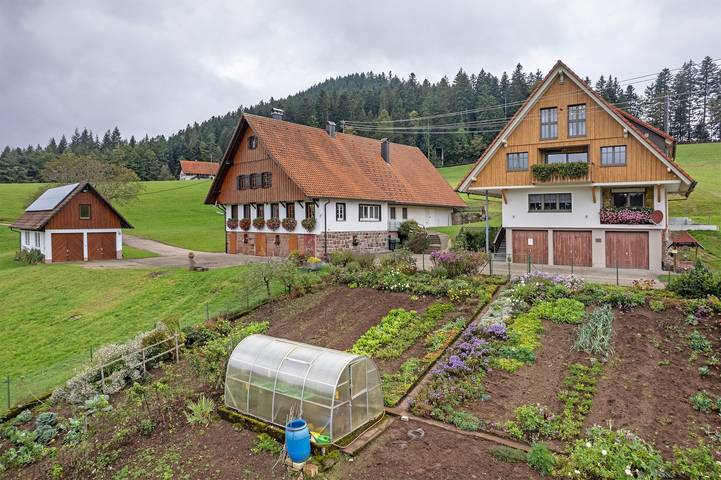 Appartement entier, Appartement "Bergluft" avec vue sur les montagnes, jardin partagé et Wi-Fi in Wolfach, Forêt-Noire centrale