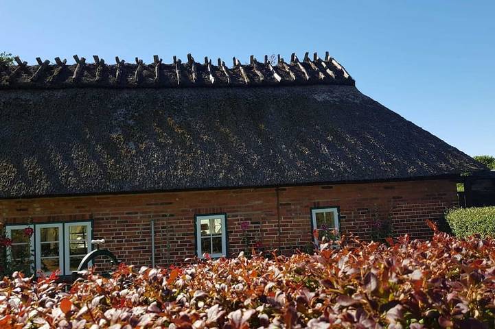 Ferienhaus für 4 Personen, mit Garten und Terrasse in Dollerup - 4