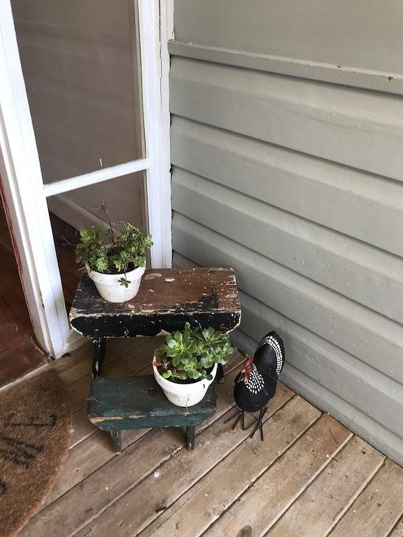 Cottage for 8 people, with terrace in New South Wales