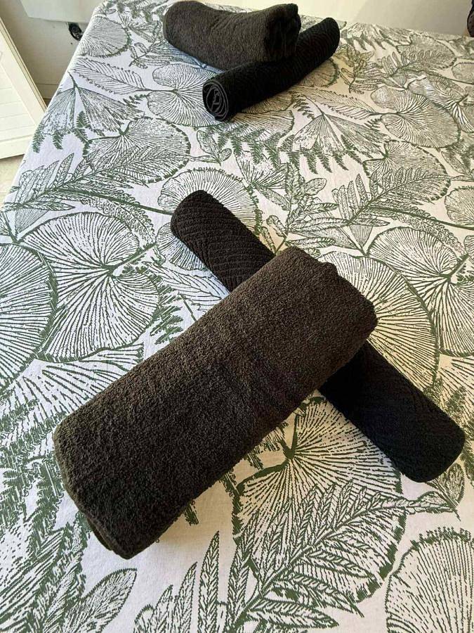 Chambre d’hôte pour 2 personnes, avec terrasse et vue, animaux acceptés à Borgo - 3