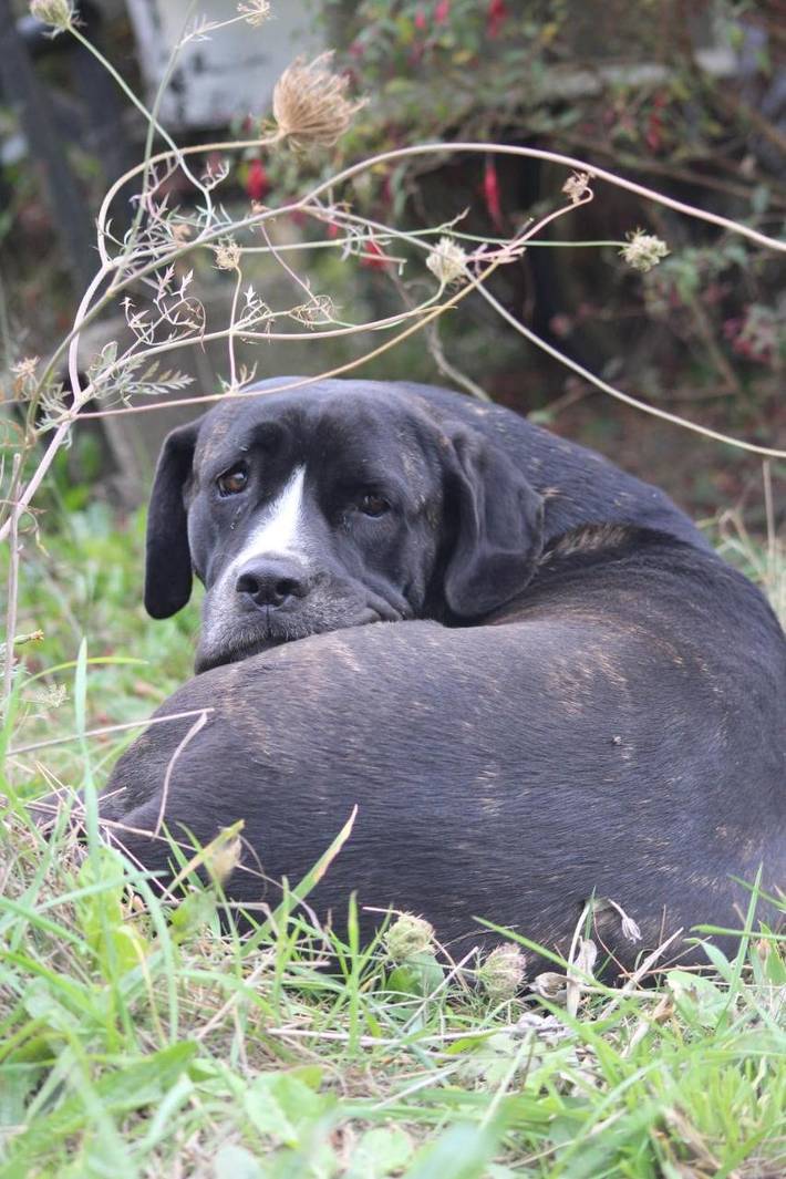 Location de vacances pour 4 personnes, avec vue ainsi que balcon et jardin à Sulniac - 2