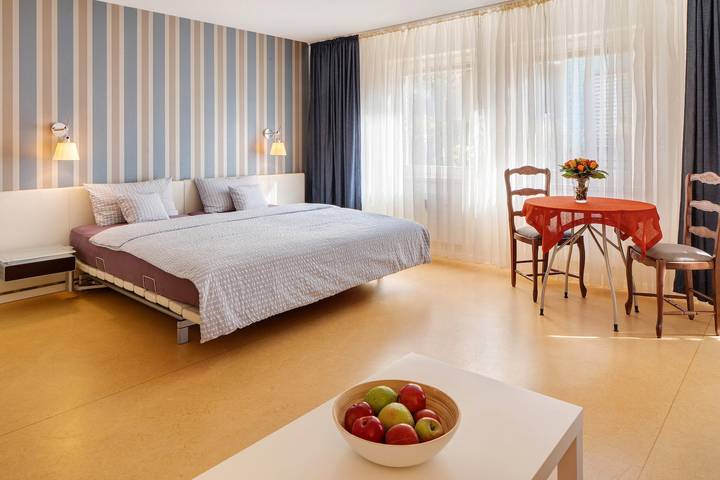 Vacation rental for 3 people in Freiburg