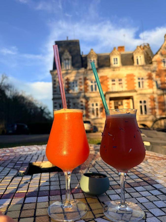 Hôtel pour 2 personnes, avec jardin ainsi que piscine et vue, animaux acceptés à La Membrolle-sur-Choisille - 4