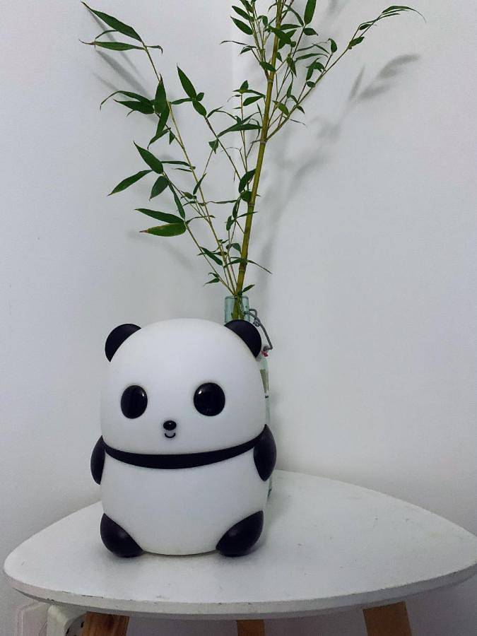 Chambre d’hôte pour 2 personnes, avec jacuzzi ainsi que terrasse et jardin en Corse - 4