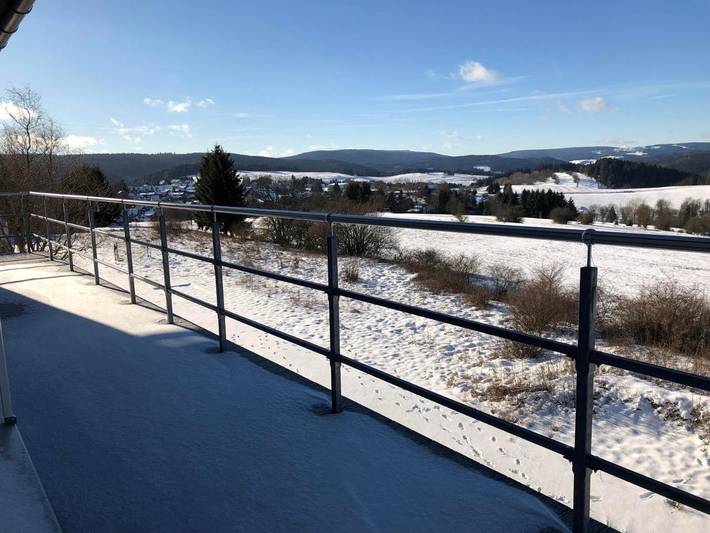 Ferienwohnung für 14 Personen, mit Terrasse und Ausblick sowie Sauna, mit Haustier in Schwarzatal - 3
