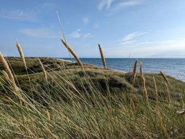 Ferieudlejning til 7 Personer i Ulfborg, Vesterhavet, Billede 3