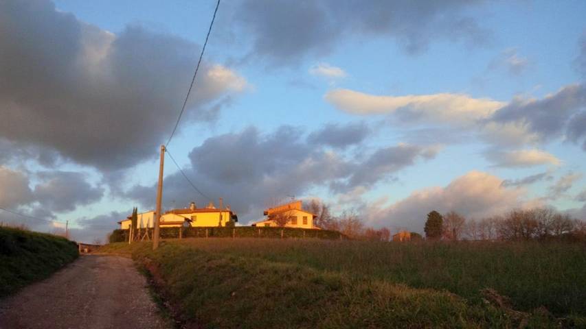 Maison de campagne pour 4 personnes, avec jardin et vue, animaux acceptés à Scandicci - 4