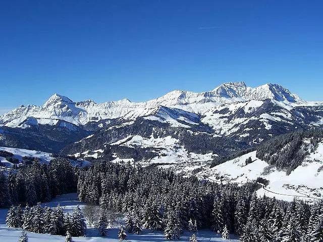 Entire apartment, South apartment with view of the slopes in Notre-Dame-de-Bellecombe, Albertville region