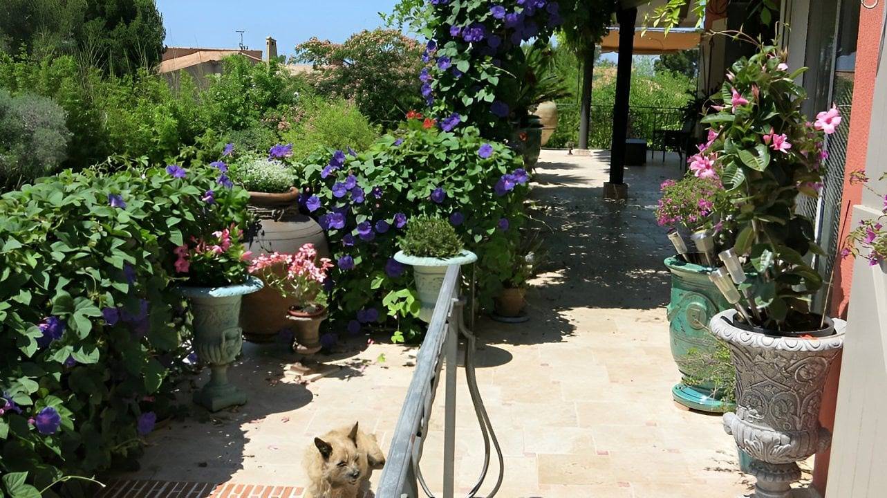 La Chamade - La chambres aux Oiseaux in Carry-le-Rouet, Région d'Istres