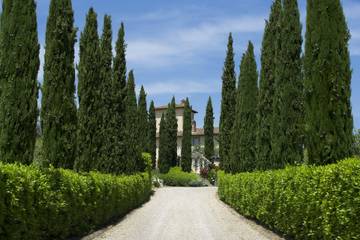 Casa Vacanza per 12 Persone in Tavarnelle Val di Pesa, Barberino Tavarnelle, Foto 2
