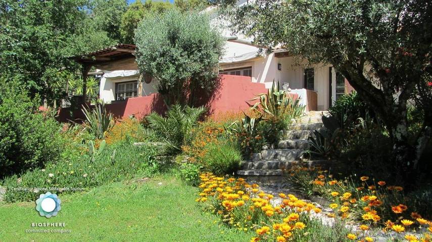 Casa rural para 8 personas, con Terraza y Jardín además de Piscina para niños y Piscina en Alcobaça - 4