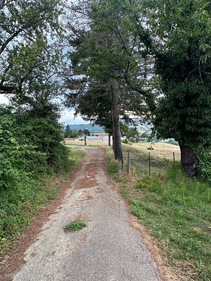 Location de vacances pour 3 personnes, avec vue ainsi que jardin et vue sur le lac, animaux acceptés à Castiglione dei Pepoli - 4