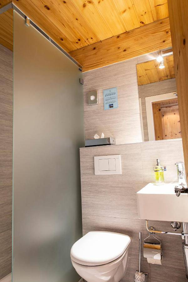 Hôtel Alpina - Swiss Ski & Bike Lodge Grimentz in Grimentz, Anniviers