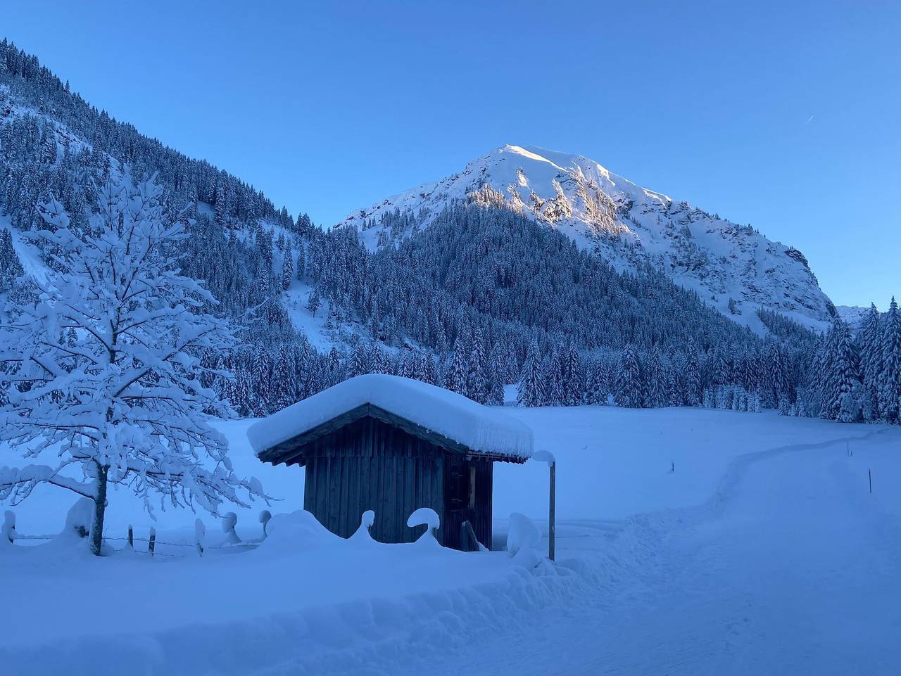 Ganze Ferienwohnung, Apartment Bergsymphonie - Apartment Haldensee in Tannheim (Tirol), Allgäuer Alpen (Österreich)