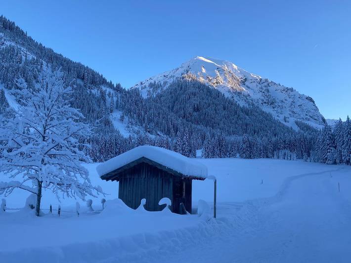 Ferienwohnung für 5 Personen, mit Garten und Balkon, mit Haustier in Tannheim (Tirol) - 3