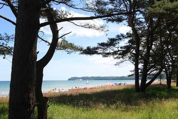 Ferienhaus für 6 Personen, mit Terrasse und Garten in Bergen auf Rügen
