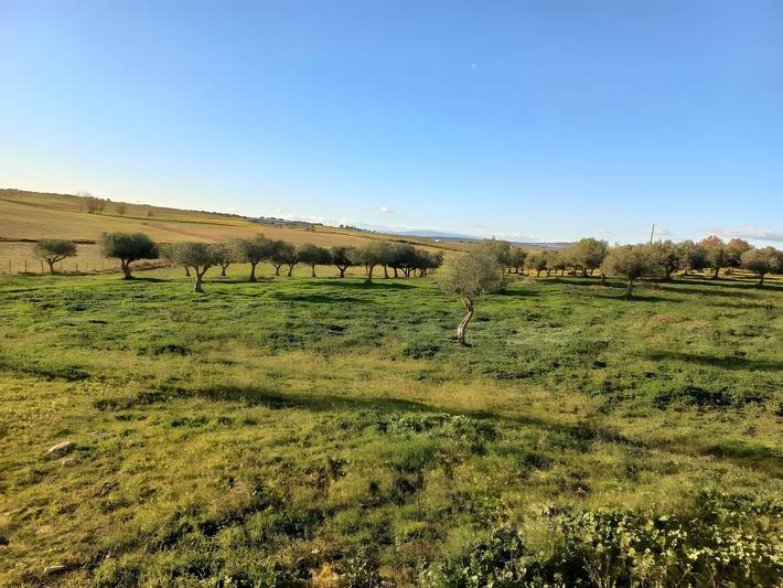 Ferienwohnung für 9 Personen, mit Garten, mit Haustier in Portugal - 4